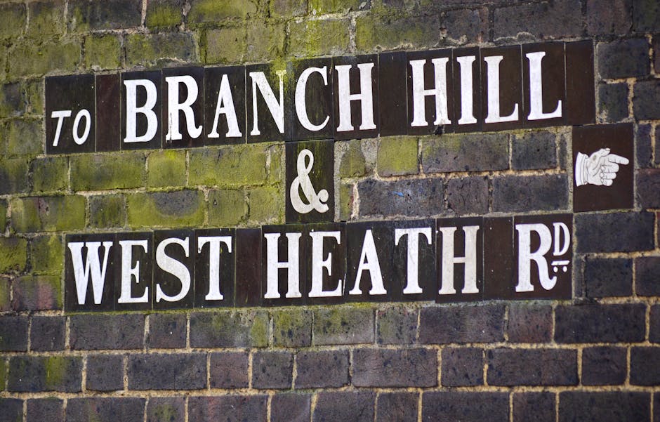 A close-up view of a traditional street sign mounted on a weathered brick wall, displaying the names 'Branch Hill' and 'West Heath Rd' in large, white uppercase letters on dark background tiles. The s